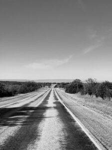 grayscale photo of road between trees