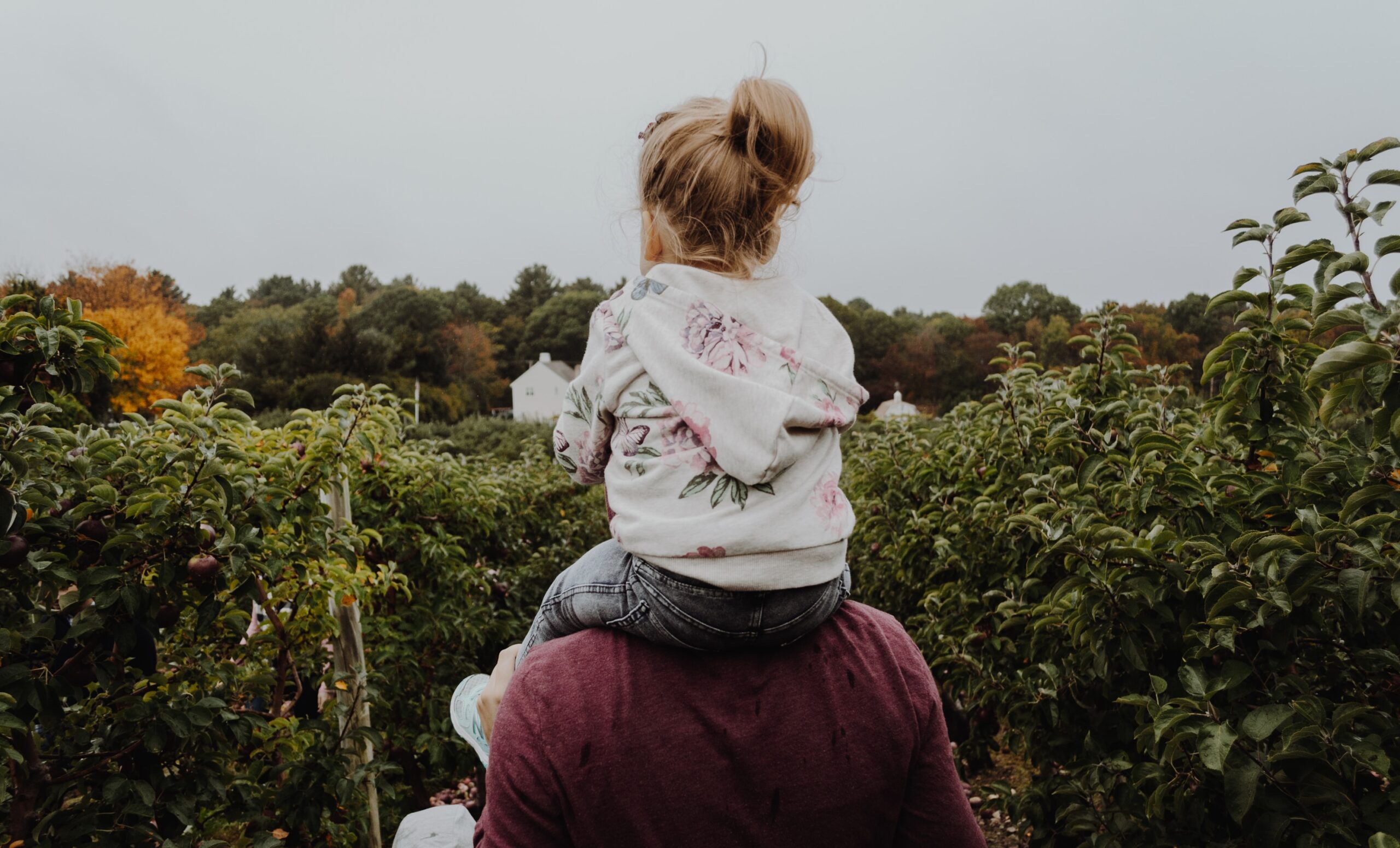 A father and child spending quality time together, representing the importance of enforcing court orders for the well-being of families, a focus of our law firm's expertise.